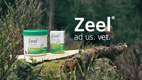 Video tuotteesta Zeel mainoksesi meille.vet.Tabletit, 500 kpl