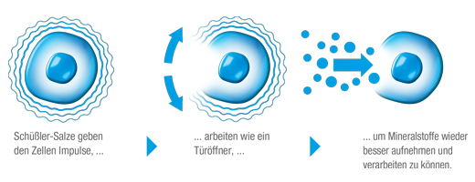 BIOCHEMIE DHU 3 Ferrum phosphoricum D 12 tablettia, 200 kpl