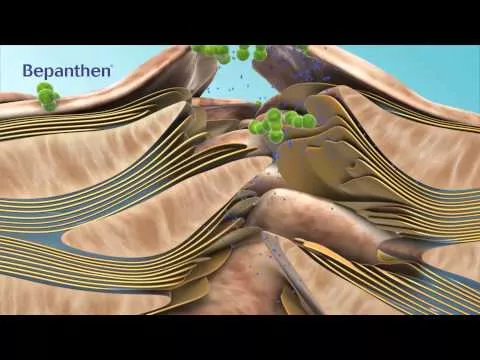Video tuotteesta Bepanthen Sensiderm kerma, 20 g