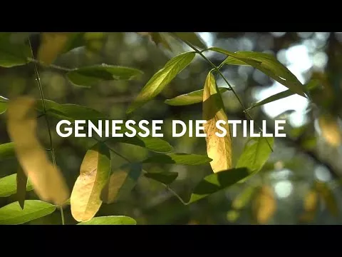 Video tuotteesta Kneipp kylpykiteet metsäkylpymäntykuusi, 600 g