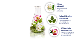 GELENCIUM nivelten seos, 2X100 ml