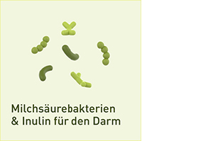 NUPURE probaflor Probiotics for Intestinal Restoration Kps, 30 kpl