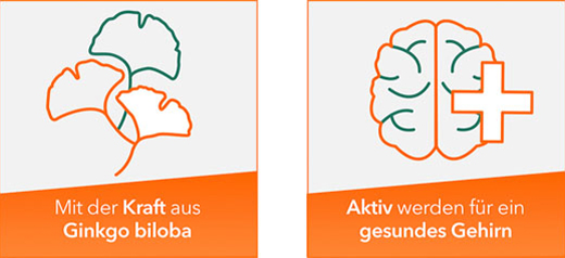 GINKOBIL-ratiopharm 240 mg kalvopäällysteiset tabletit, 120 kpl
