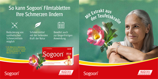 SOGOON 480 mg kalvopäällysteiset tabletit, 20 kpl