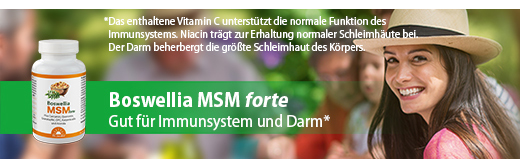 BOSWELLIA MSM forte Dr.Jacobin tabletit, 90 kpl