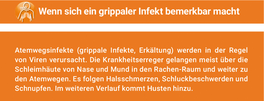 ANGOCIN Anti Infekt N kalvopäällysteiset tabletit, 50 kapselia