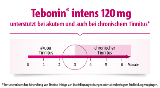 TEBONIN intensiiviset 120 mg kalvopäällysteiset tabletit, 120 kpl