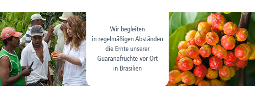 GUARANA BIO Puhdas jauhe, 100 g