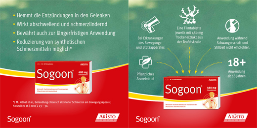SOGOON 480 mg kalvopäällysteiset tabletit, 20 kpl