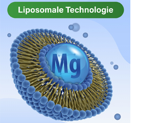 GLYCOWOHL vital liposomaalinen magnesium suurannoskapseli, 120 kpl