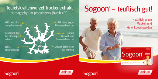 SOGOON 480 mg kalvopäällysteiset tabletit, 20 kpl