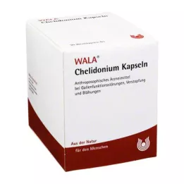 CHELIDONIUM KAPPALEET, 90 kpl