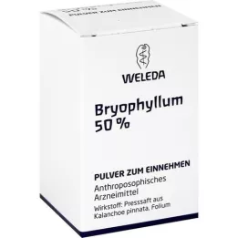 BRYOPHYLLUM 50% Suun kautta jauhe, 20 g