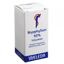 BRYOPHYLLUM 50% Suun kautta jauhe, 20 g
