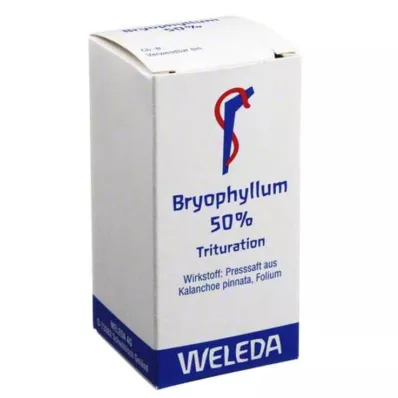 BRYOPHYLLUM 50% Suun kautta jauhe, 20 g