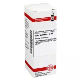 APIS MELLIFICA D 30 -laimennos, 20 ml