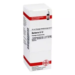 BERBERIS D 12 Laimennus, 20 ml