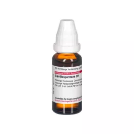 CARDIOSPERMUM D 1 Laimennus, 20 ml