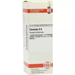 CLEMATIS D 6 Laimennus, 20 ml
