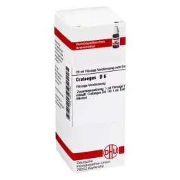 CRATAEGUS D 6 Laimennus, 20 ml