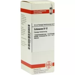 ECHINACEA HAB D 12 Laimennus, 20 ml