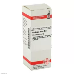GENTIANA LUTEA D 2 Laimennus, 20 ml