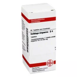 SOLIDAGO VIRGAUREA D 4 tablettia, 80 kpl