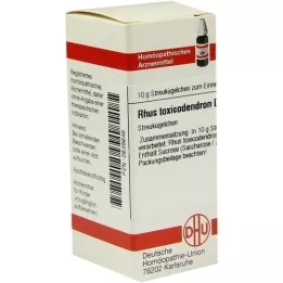 RHUS TOXICODENDRON D 10 palloa, 10 g