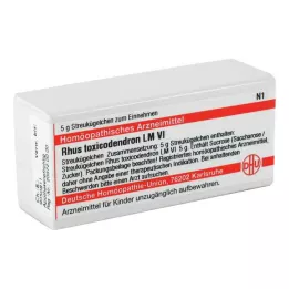 RHUS TOXICODENDRON LM VI Pallot, 5 g