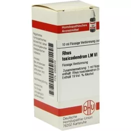 RHUS TOXICODENDRON LM VI Laimennus, 10 ml