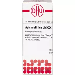 APIS MELLIFICA LM XXX Laimennus, 10 ml