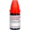 GRAPHITES LM XXX Laimennus, 10 ml