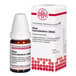 RHUS TOXICODENDRON LM XXX Laimennus, 10 ml