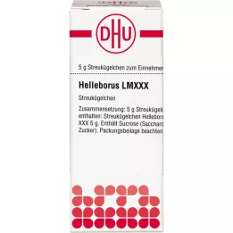 HELLEBORUS LM XXX Pallot, 5 g