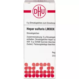 HEPAR SULFURIS LM XXX Pallot, 5 g