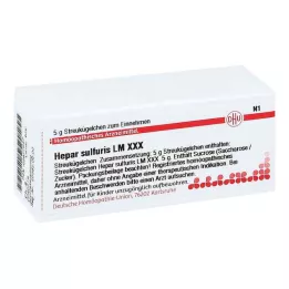 HEPAR SULFURIS LM XXX Pallot, 5 g