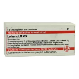 LACHESIS LM XXX Pallot, 5 g