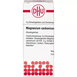 MAGNESIUM CARBONICUM LM XXX Pallot, 5 g