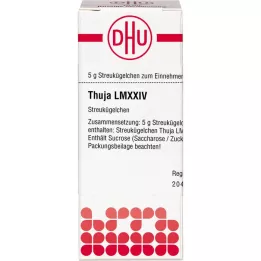 THUJA LM XXIV Pallot, 5 g