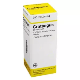 CRATAEGUS Laimennos vet., 250 ml