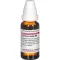 CURCUMA LONGA D 4 -laimennus, 20 ml