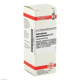 ADRENALINUM HYDROCHLORICUM D 12 Laimennus, 20 ml