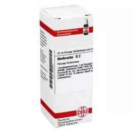 QUEBRACHO D 2 Laimennus, 20 ml