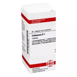 ECHINACEA HAB D 1 tabletti, 80 kpl