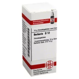BERBERIS D 12 palloa, 10 g