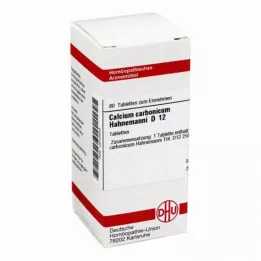CALCIUM CARBONICUM Hahnemanni D 12 tablettia, 80 kpl