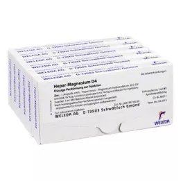 HEPAR MAGNESIUM D 4 ampullia, 48X1 ml