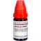 ABROTANUM LM XXX Laimennus, 10 ml