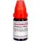 PHOSPHORUS LM XXX Laimennus, 10 ml