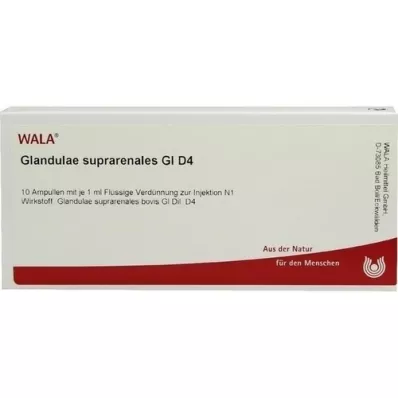 GLANDULAE SUPRARENALES GL D 4 ampullia, 10X1 ml